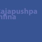 Rajapushpa Infina