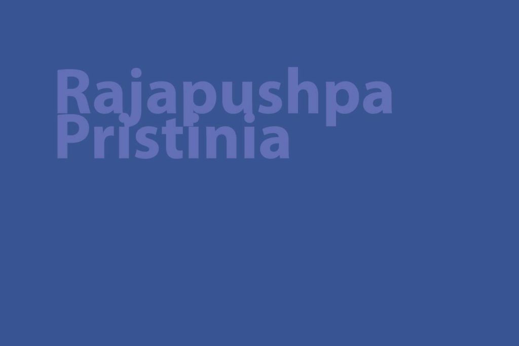 Rajapushpa Pristinia