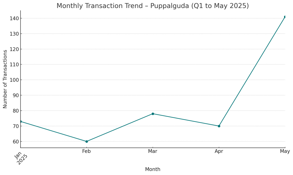 Monthly Transaction Trend - Puppalguda Q1 to May 2025