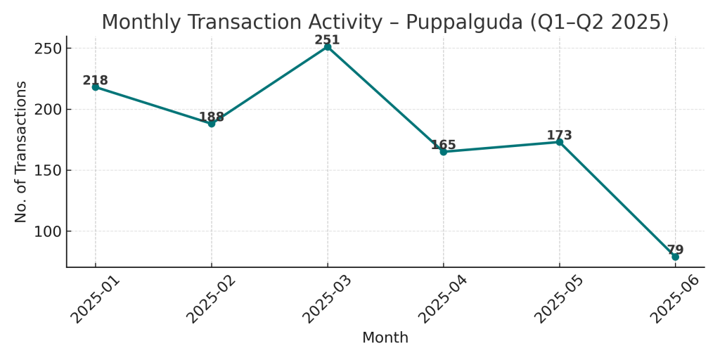 gated community - Monthly Transaction Activity - Puppalguda
