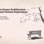 Green Is Not the Same as Biophilic
